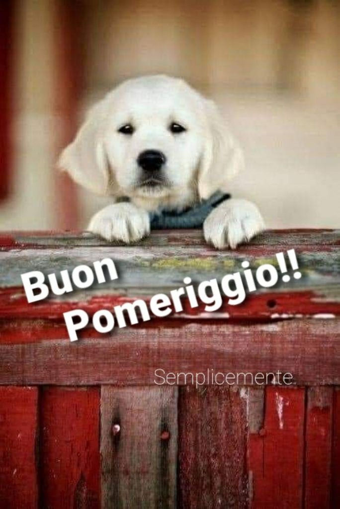 Buon Pomeriggio!!