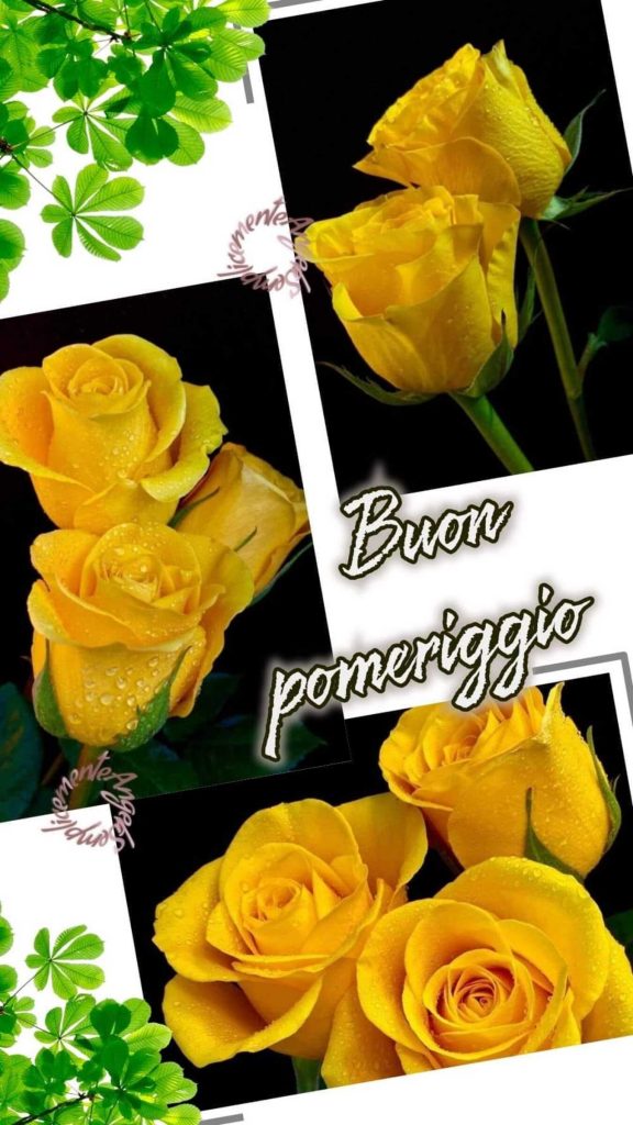 Buon Pomeriggio