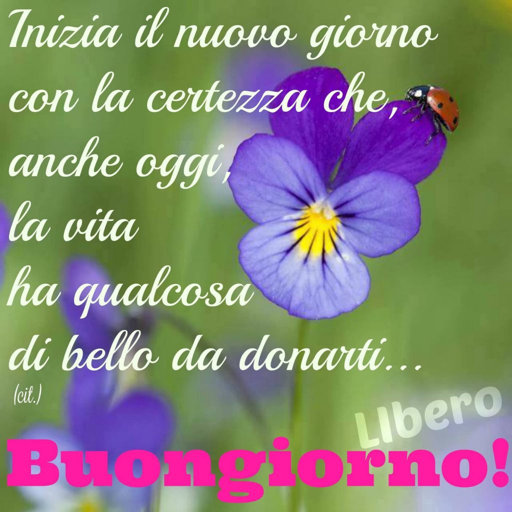 Inizia il nuovo giorno con la certezza che, anche oggi, la vita ha qualcosa di bello da donarti... Buongiorno!