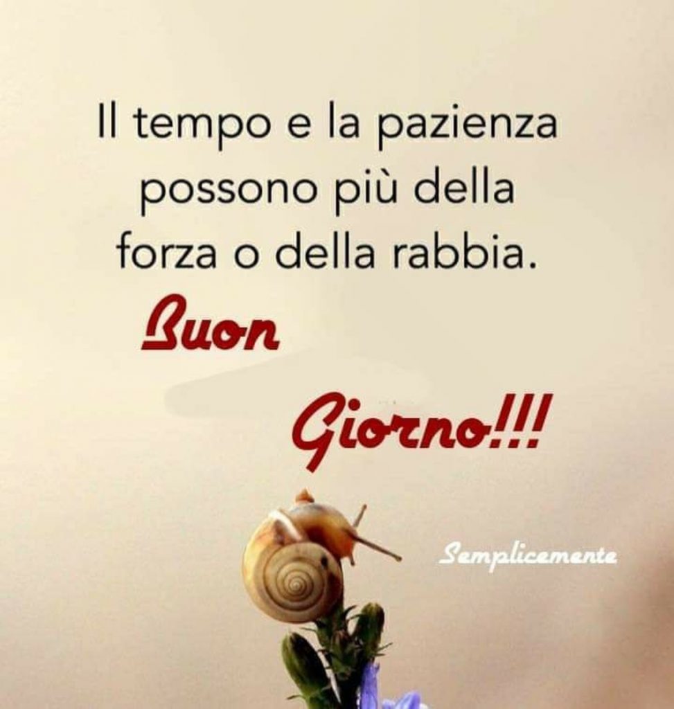 Il tempo e la pazienza possono più della forza o della rabbia. Buongiorno!!!