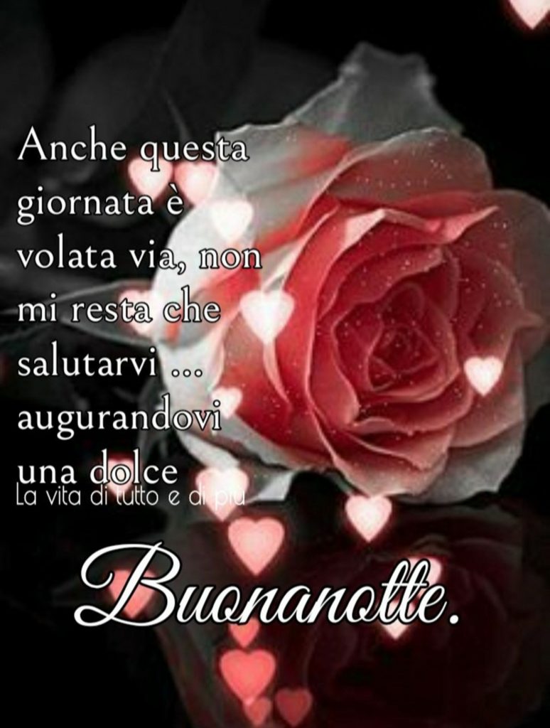 Anche questa giornata è volata via, nmon mi resta che salutarvi... augurandovi una dolce Buonanotte