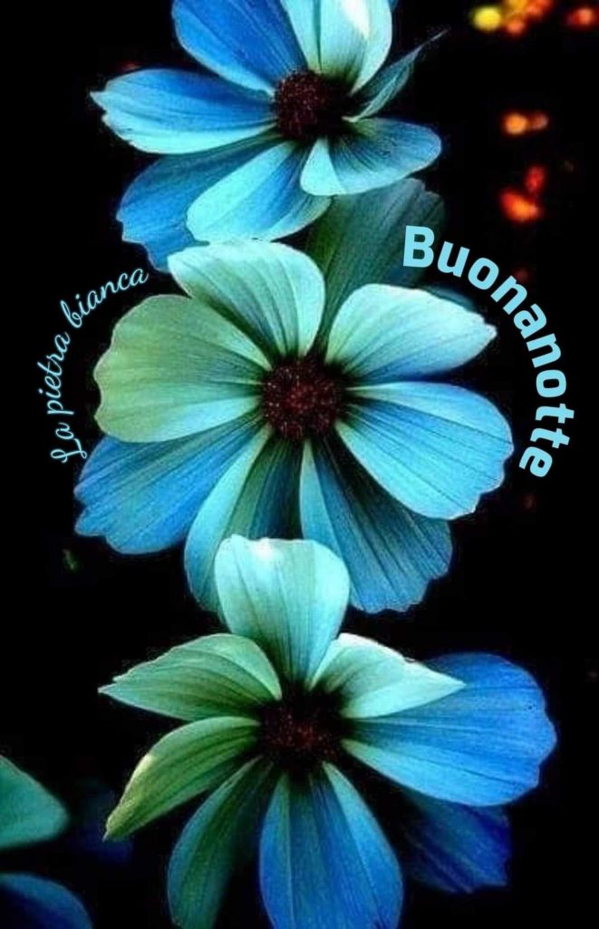 Buonanotte