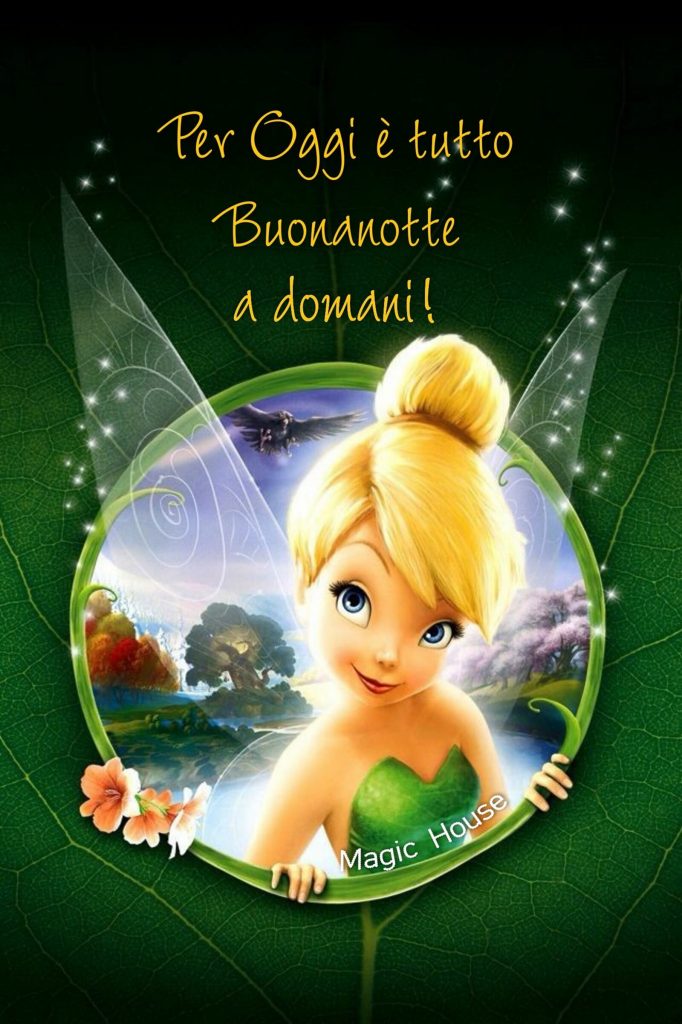 Per oggi è tutto Buonanotte a domani!