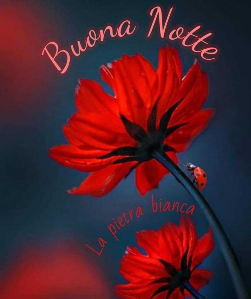 Buona Notte