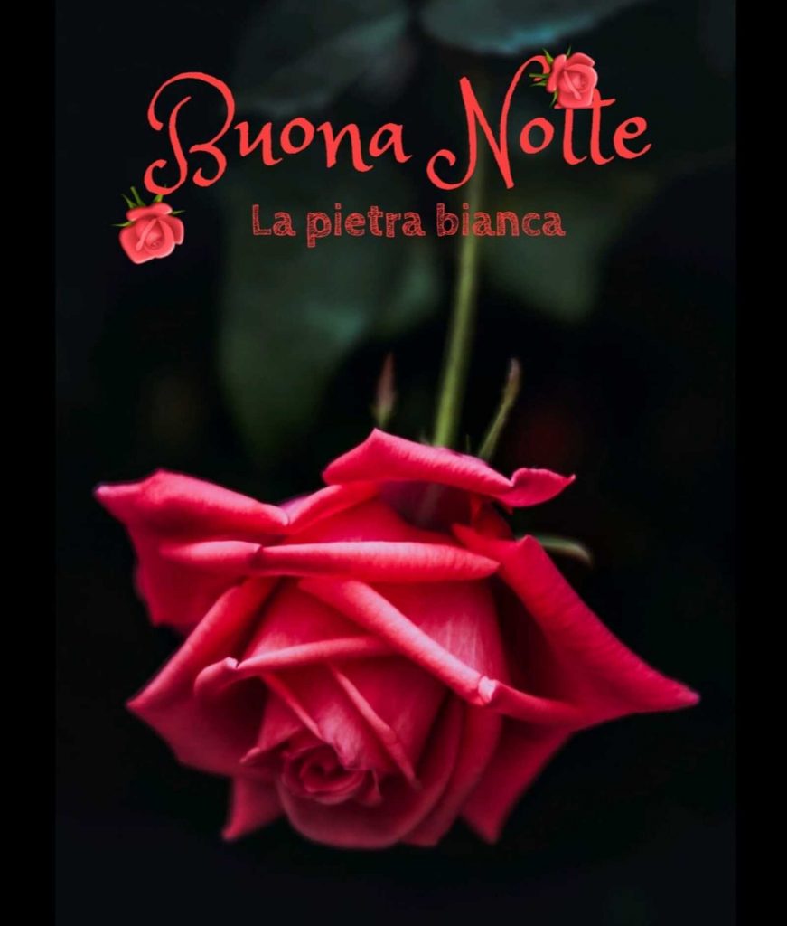 Buona Notte