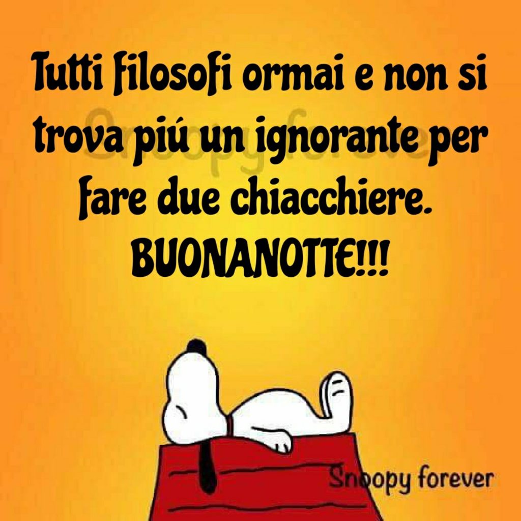 Tutti filosofi ormai e non si trova più un ignorante per fare due chiacchiere. Buonanotte!