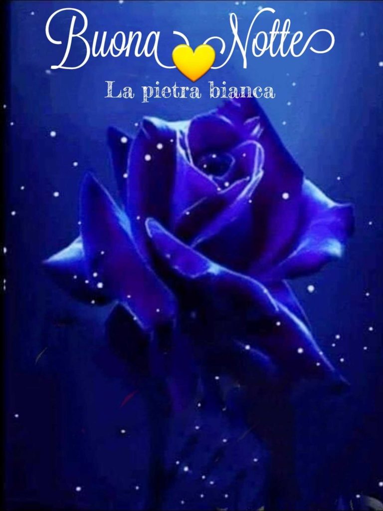 Buona Notte