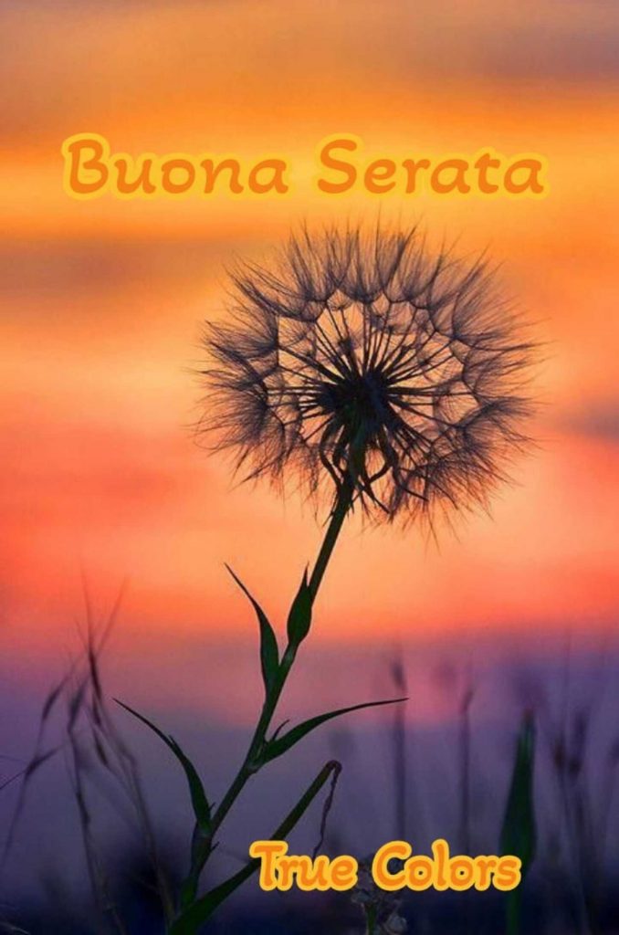 Buona serata