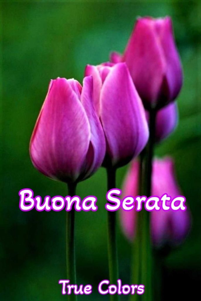 Buona Serata