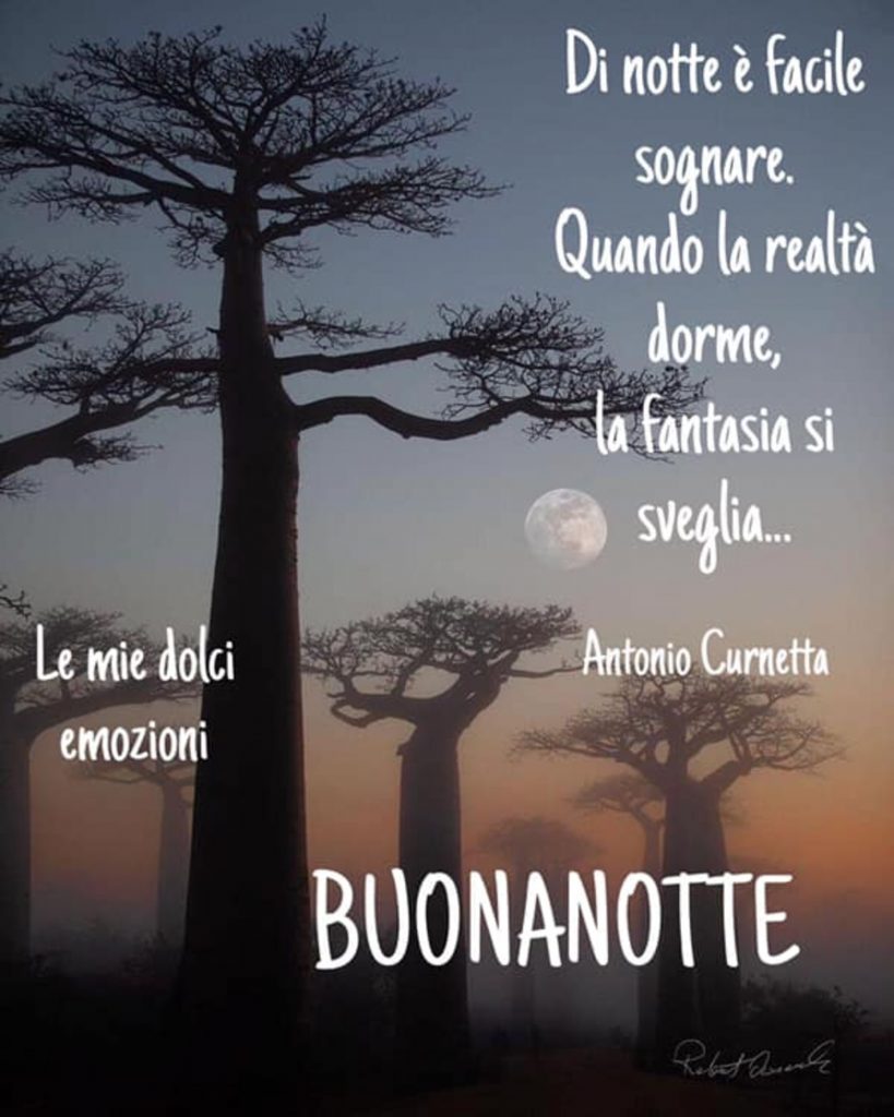 "Di notte è facile sognare. Quando la realtà dorme, la fantasia si sveglia..." - Antonio Curnetta - BUONANOTTE