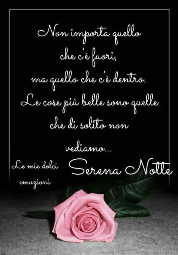 Non importa quello che c'è fuori, ma quello che c'è dentro. Le cose più belle sono quelle che di solito non vediamo... Serena Notte