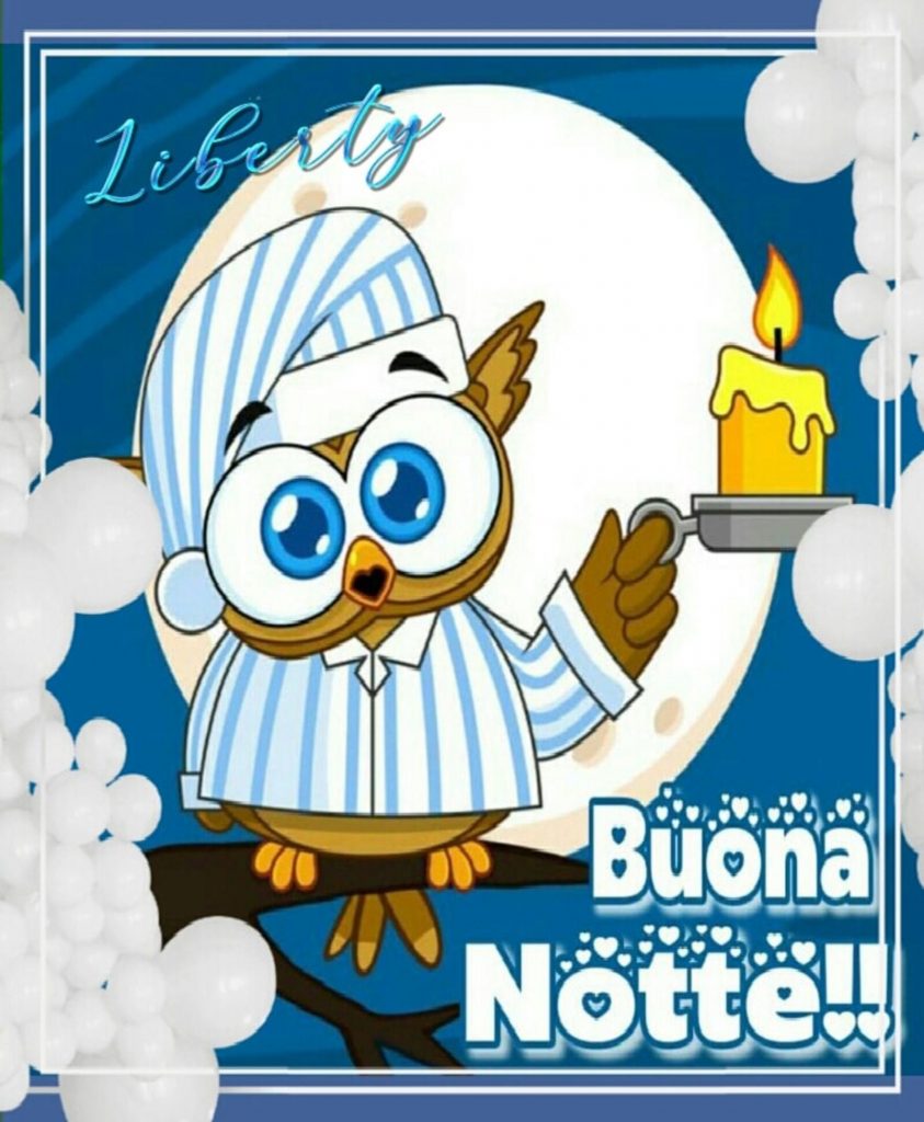 Buona Notte!!! - gufetto