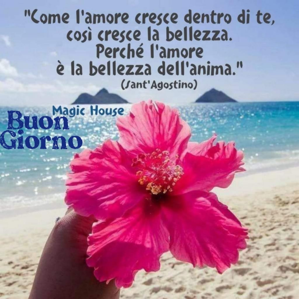 "Come l'amore cresce dentro di te, così cresce la bellezza. Perché l'amore è la bellezza dell'anima." (Sant'Agostino) - Buon Giorno
