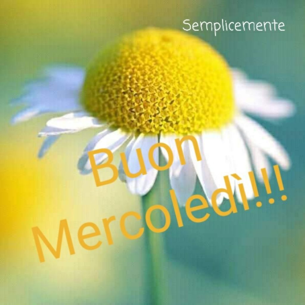 Buon Mercoledì!!!