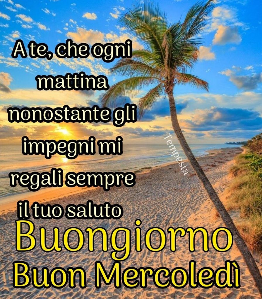 A te mattina nonostante gli impegni mi regali sempre il tuo saluto Buongiorno Buon Mercoledì