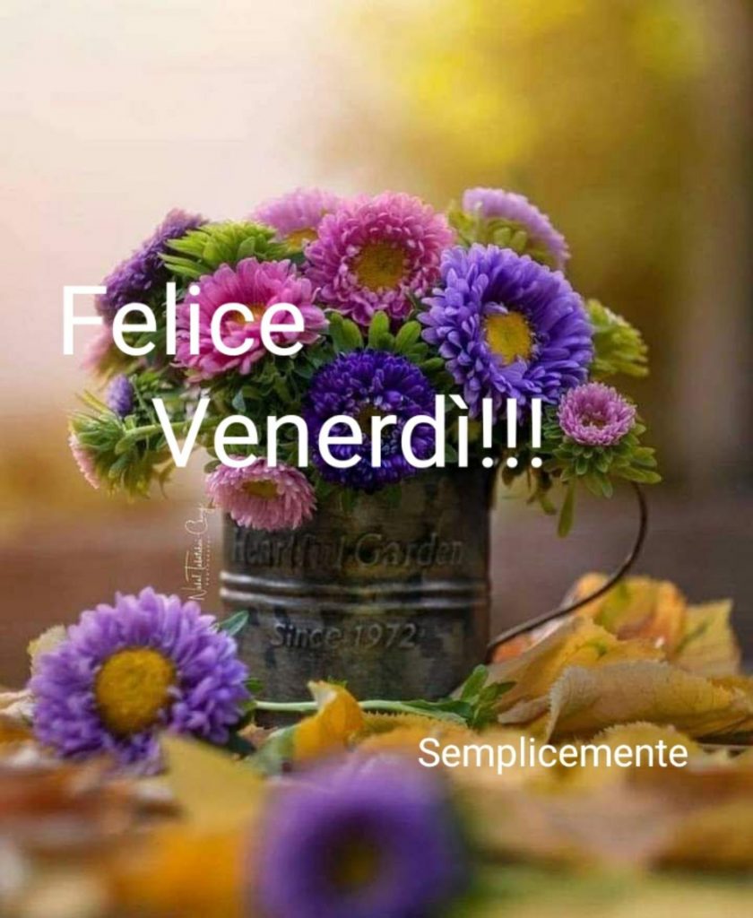 Felice Venerdì!!!