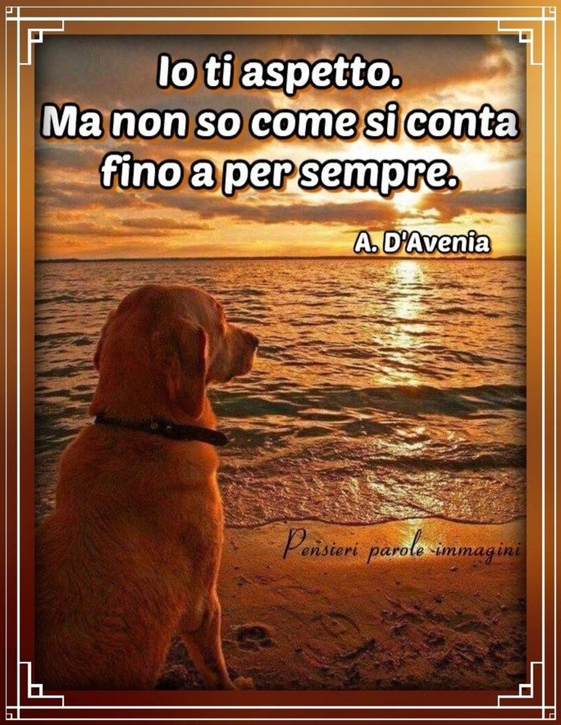 le più belle frasi sul web