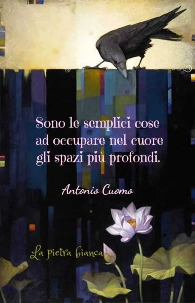 Sono le semplici cose ad occupare nel cuore gli spazi più profondi