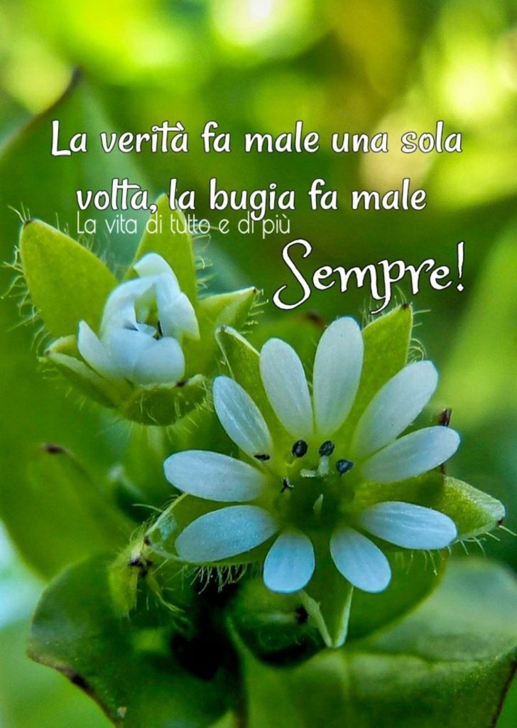 La verità fa male una sola volta, la bugia fa male sempre!