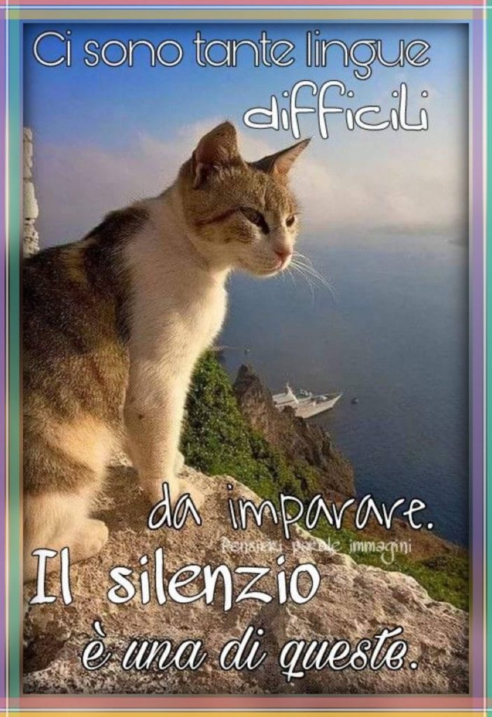 Ci sono tante lingue difficili da imparare. Il silenzio è una di queste