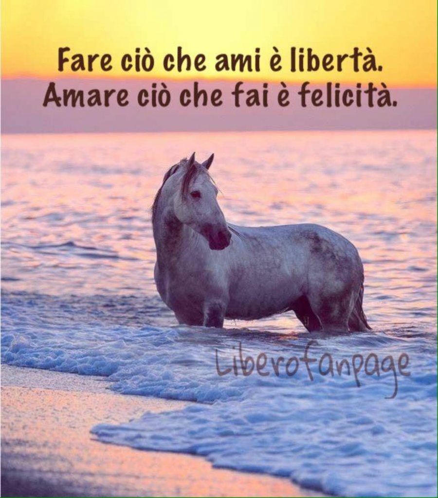 Fare ciò che ami è libertà. Amare ciò che fai è felicità