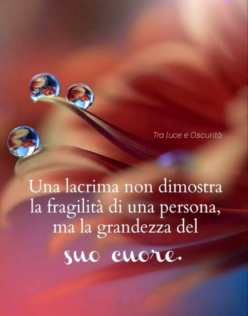 Una lacrima non dimostra la fragilità di una persona, ma la grandezza del suo cuore