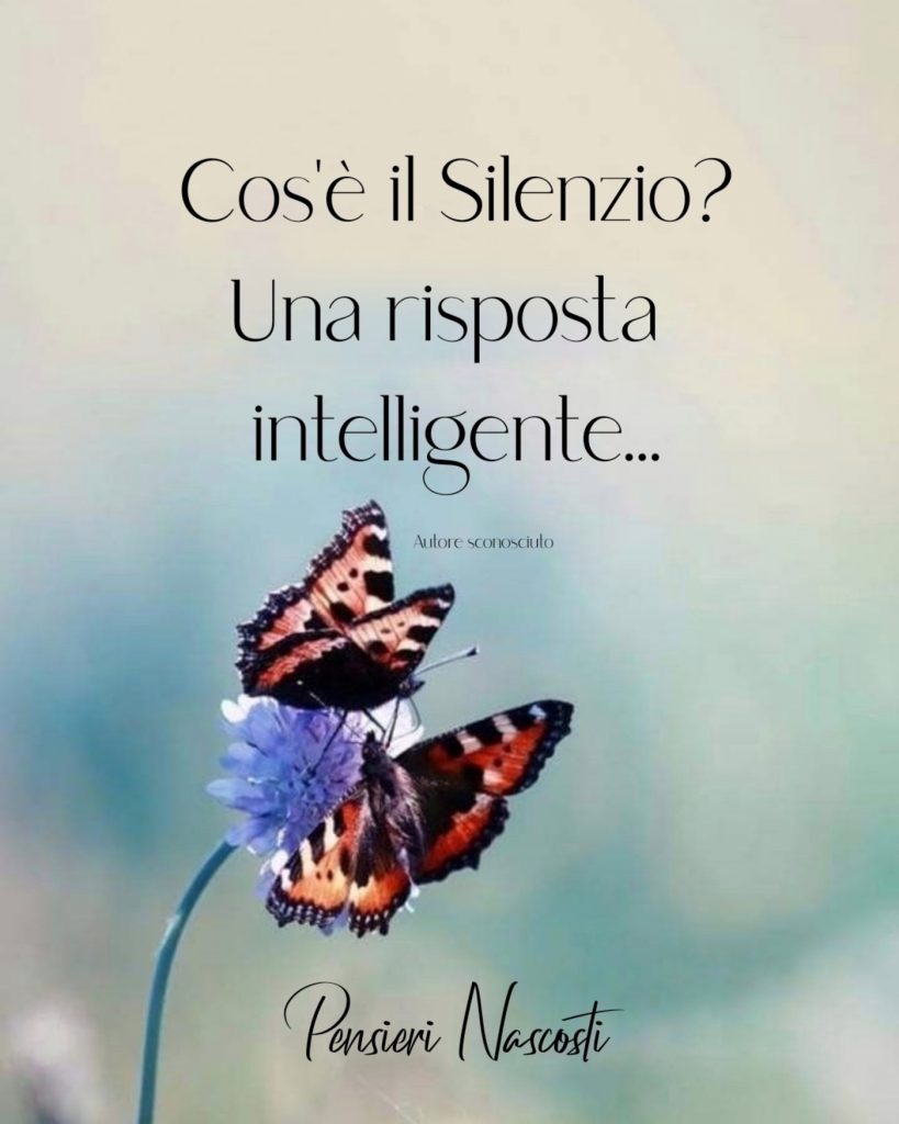 Cos'è il Silenzio? Una risposta intelligente