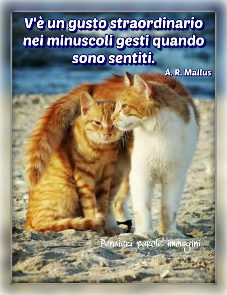 V'è un gisto straordinario nei minuscoli gesti quando sono sentiti