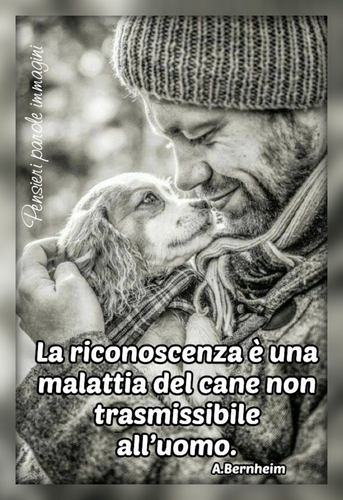 La riconoscenza è una malattia del cane non trasmissibile all'uomo