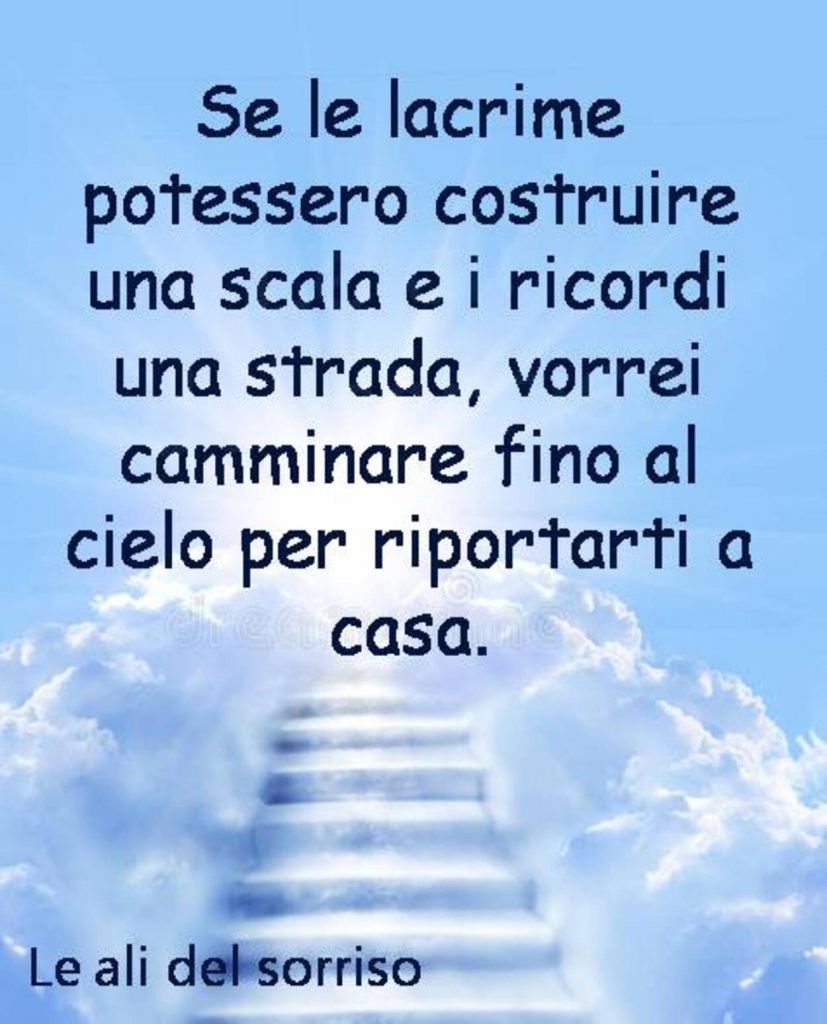 Se le lacrime potessero costruire una scala e i ricordi una styrada, vorrei camminare fino al cielo per riportarti a casa