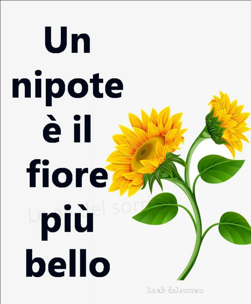 Un nipote è il fiore più bello