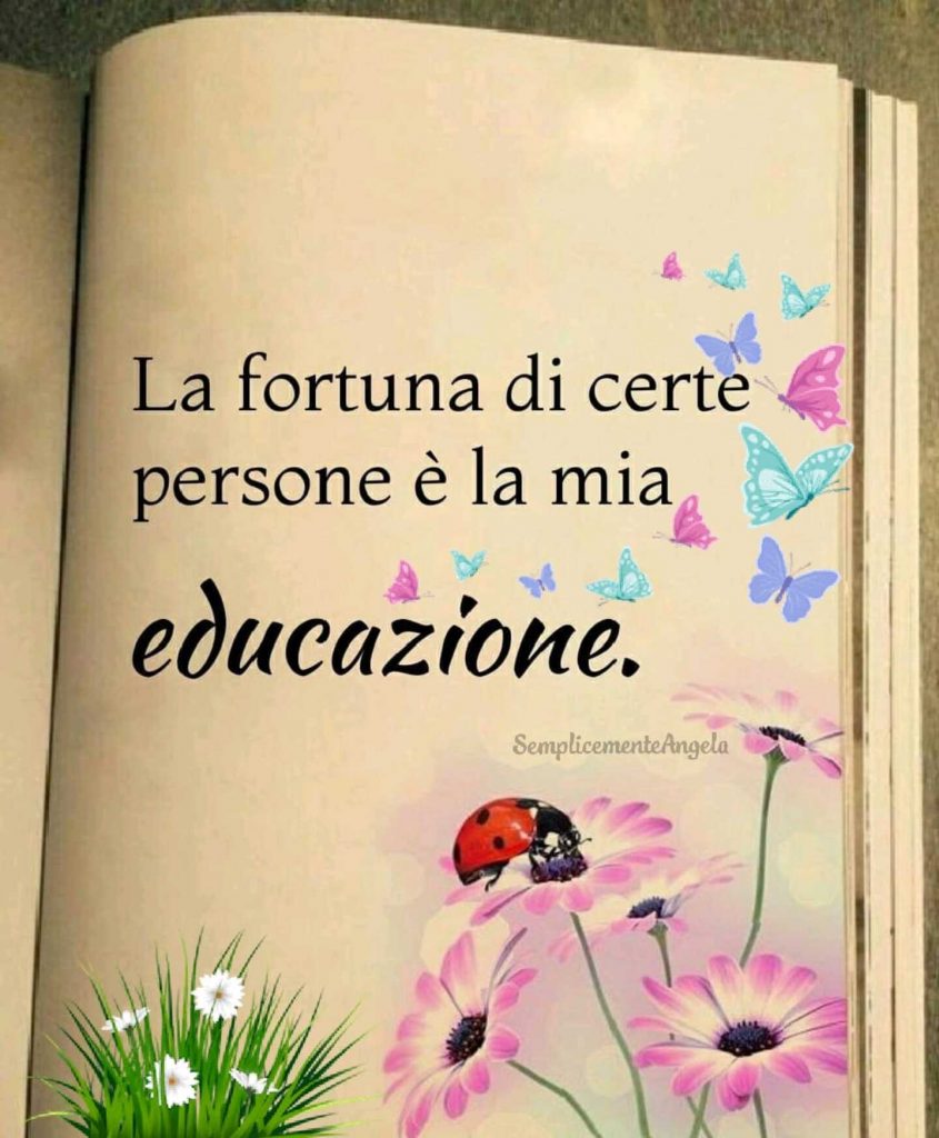 La fortuna di certe persone è la mia educazione