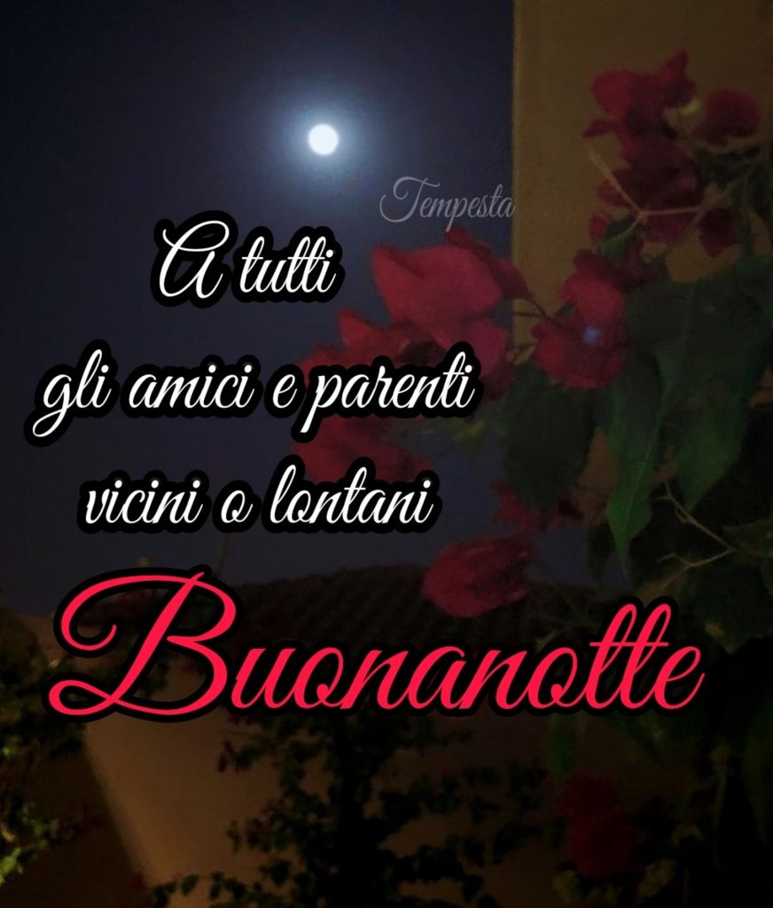 A tutti gli amici e parenti vicini o lontani Buonanotte