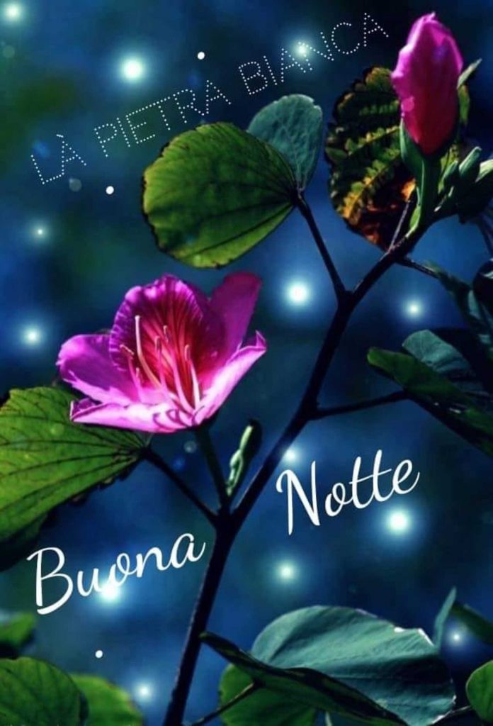 Buona Notte