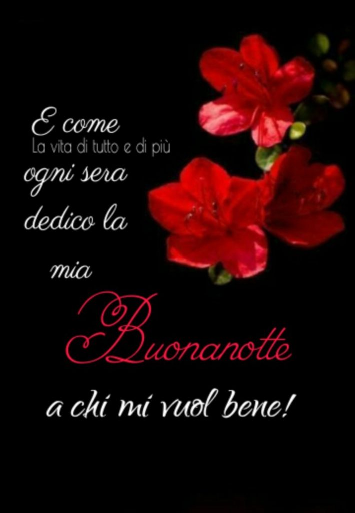 E come ogni sera dedico la mia Buonanotte a chi mi vuol bene!