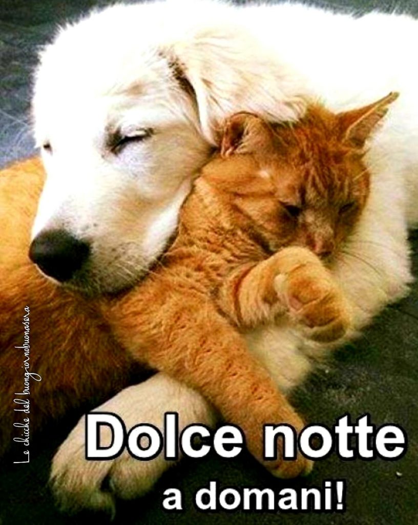 Dolce Notte a domani!