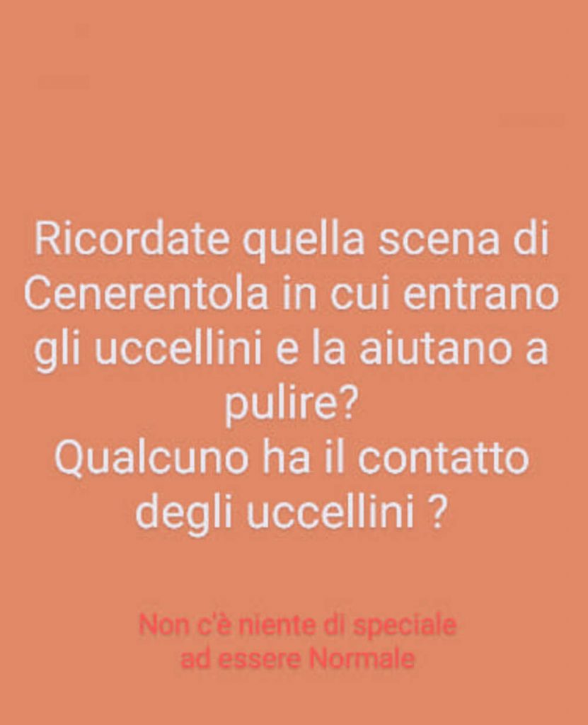 Ricordate quella scena di Cenerentola in cui entrano gli uccellini e la aiutano a pulire? Qualcuno ha il contatto degli uccellini?
