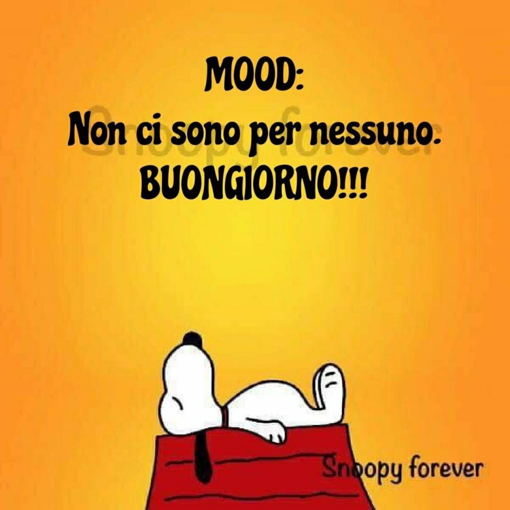 Mood: Non ci sono per nessuno. Buongiorno!!!!