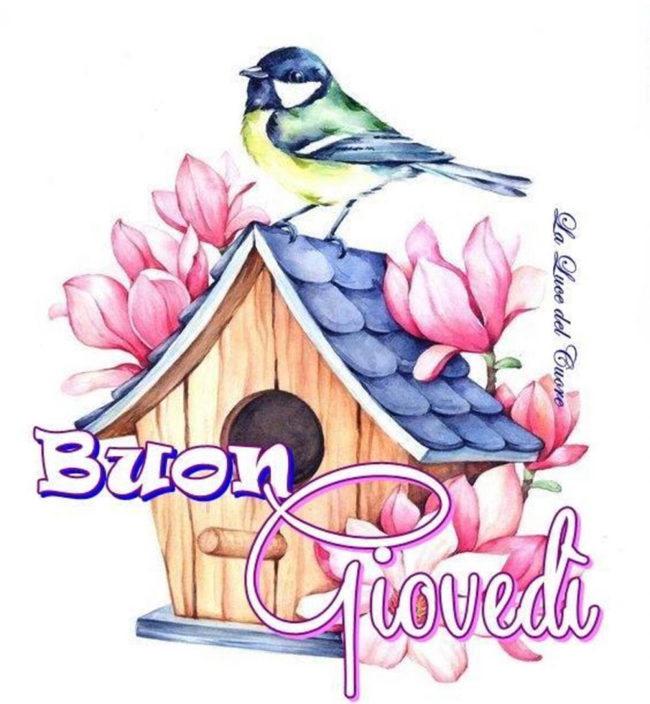 Buon Giovedì