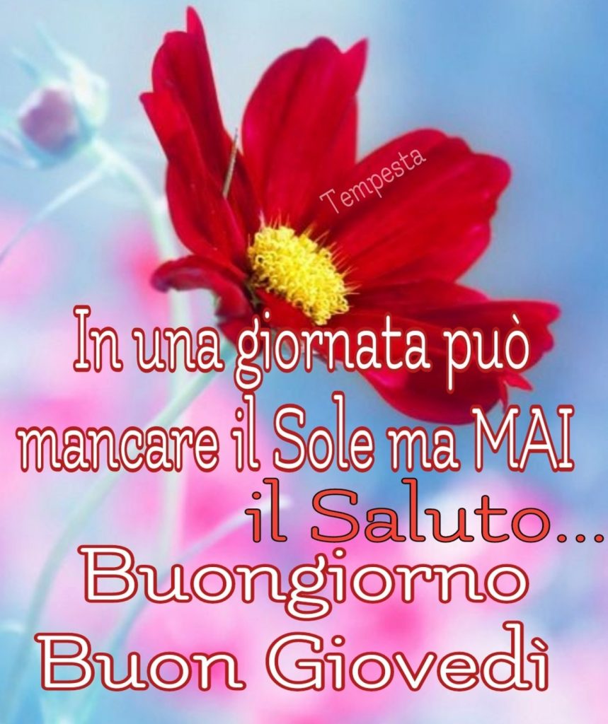 In una giornata può mancare il Sole ma MAI il Saluto... Buongiorno Buon Giovedì