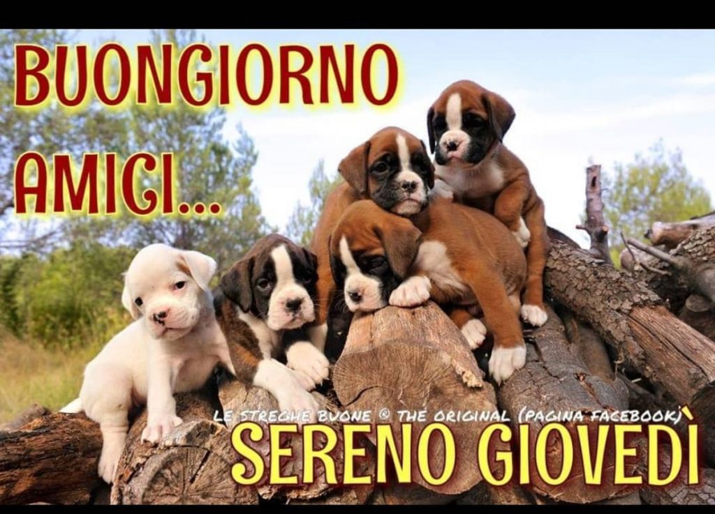 Buongiorno Amici Sereno Giovedì