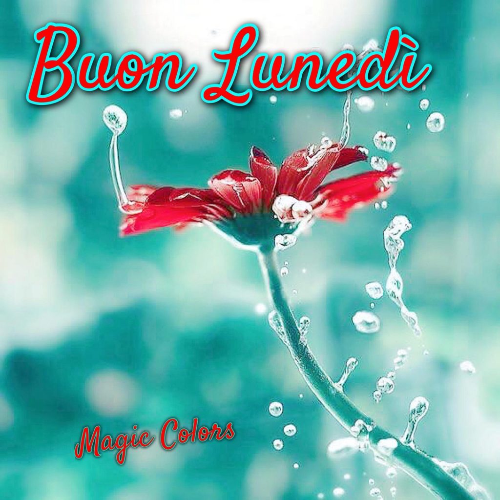 Buon Lunedì