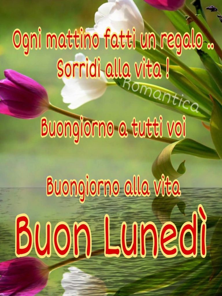 Ogni mattino fatti un regalo.. Sorridi alla vita! Buongiorno a tutti voi Buongiorno alla vita Buon Lunedì