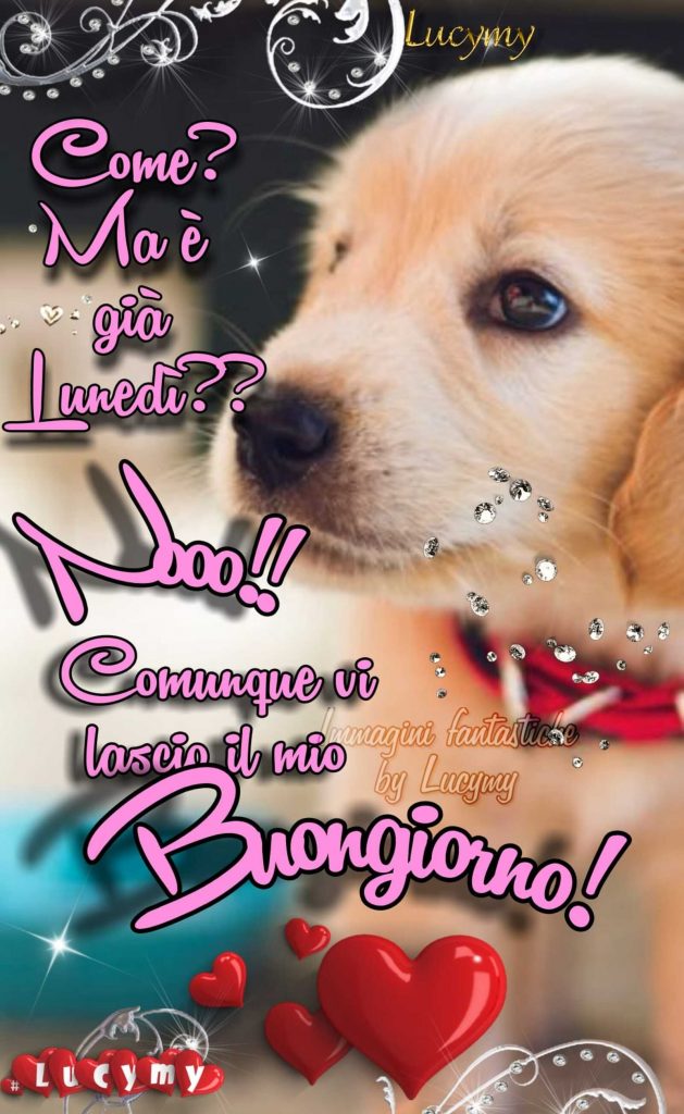 Come? Ma è già Lunedì?? Nooo!! Comunque vi lascio il mio Buongiorno!