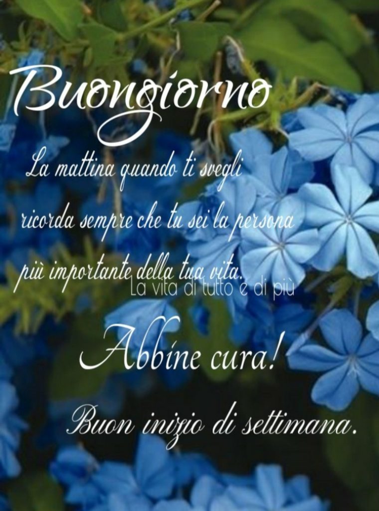 Buongiorno la mattina quando ti svegli ricorda sempre che tu sei la persona più importante della tua vita. Abbine cura! Buon inizio di settimana