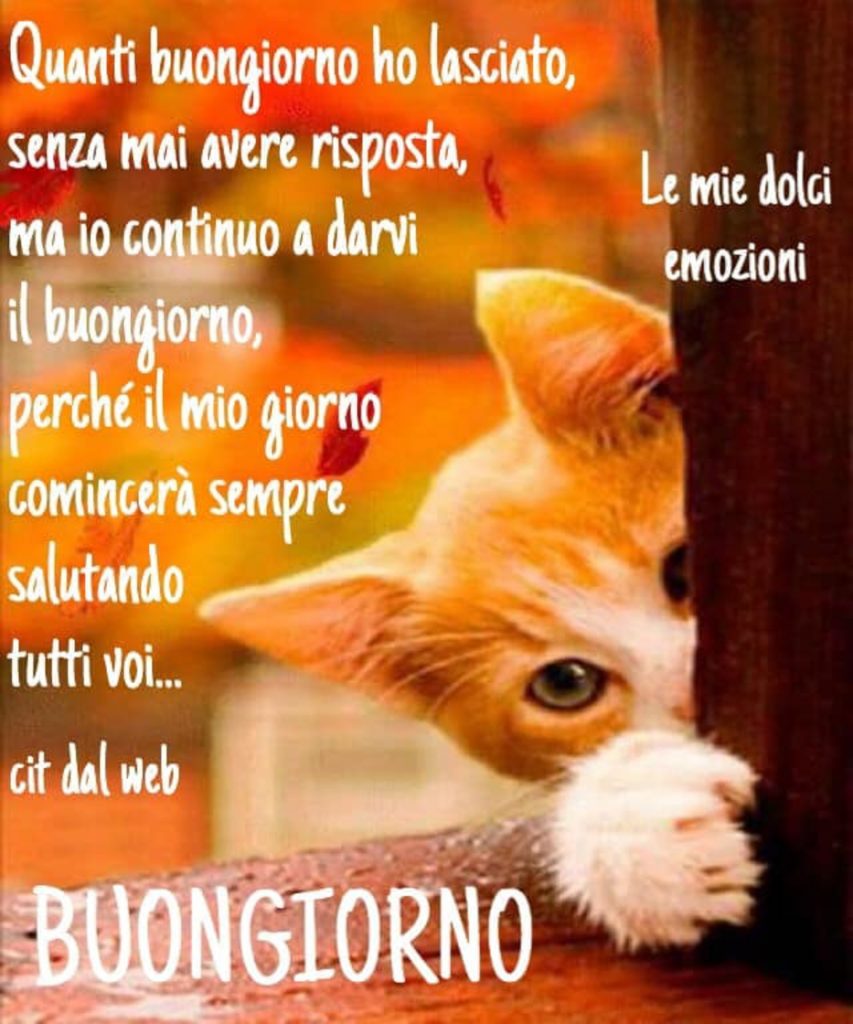 Quanti buongiorno ho lasciato, senza mai avere risposta, ma io continuo a darvi il buongiorno, perché il mio giorno comincerà sempre sempre salutando tutti voi... buongiorno