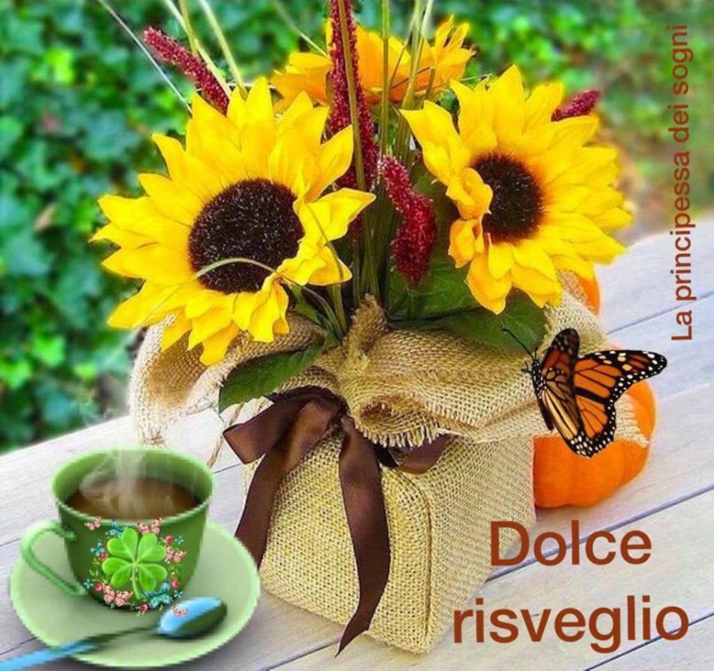 Dolce risveglio