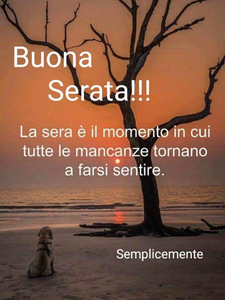 Buona Serata!!! La sera è il momento in cui tutte le mancanze tornano a farsi sentire 