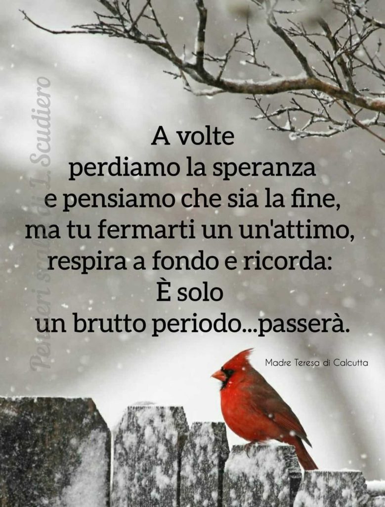 A volte perdiamo la speranza e pensiamo che sia la fine, ma tu fermarti un attimo, respira a fondo e ricorda: È solo un brutto periodo...passerà