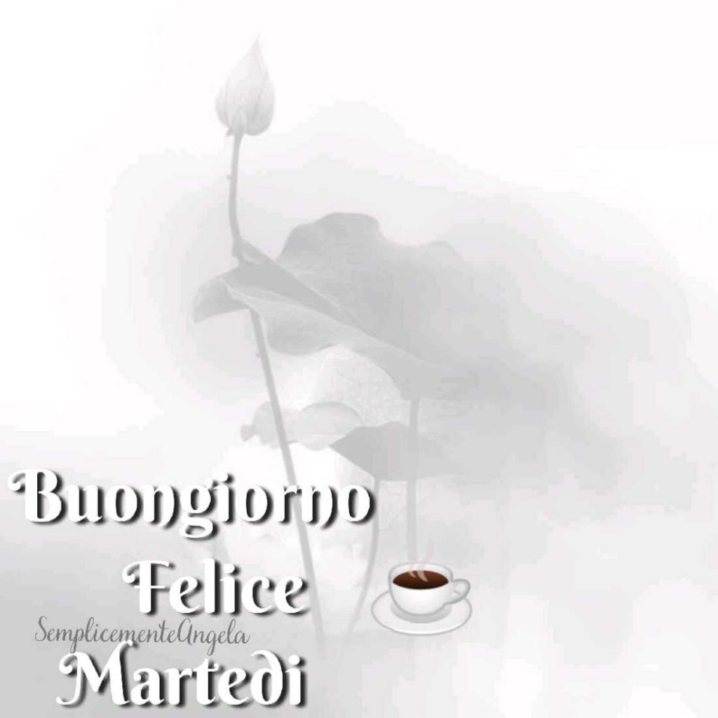 Buongiorno Felice Martedì